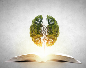 全国各地查号服务台是多少-